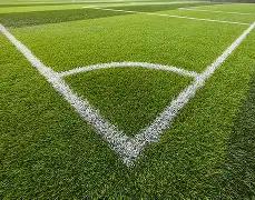 成都世运会,熊猫赛道奇,男女混合竞,开云体育,开云体育官网,开云体育app,开云体育平台,KAIYUN,SPORTS,kaiyun登录入口