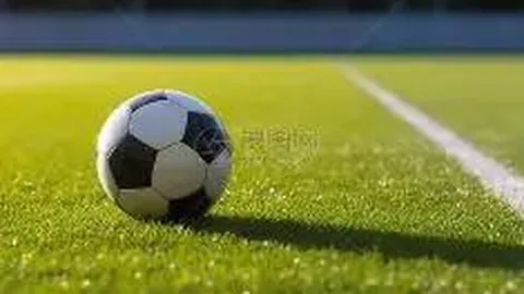 开运体育下载 资讯 084129 5kh